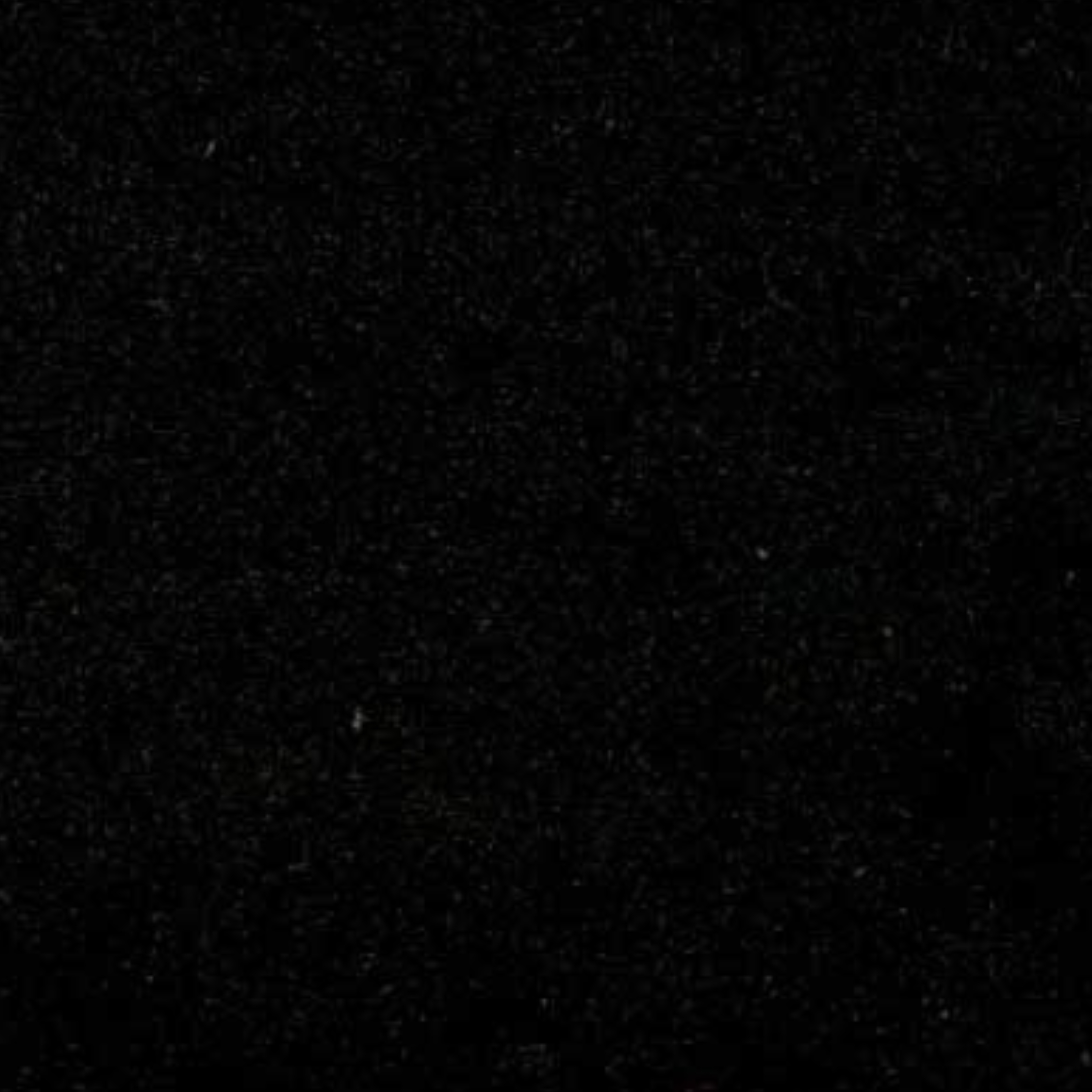 Material Collection | Siva Granite